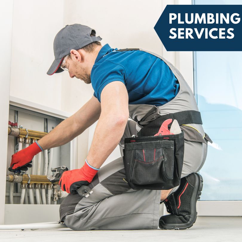 Savona Plumbing Company